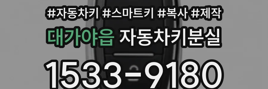 대가야읍 자동차키분실
