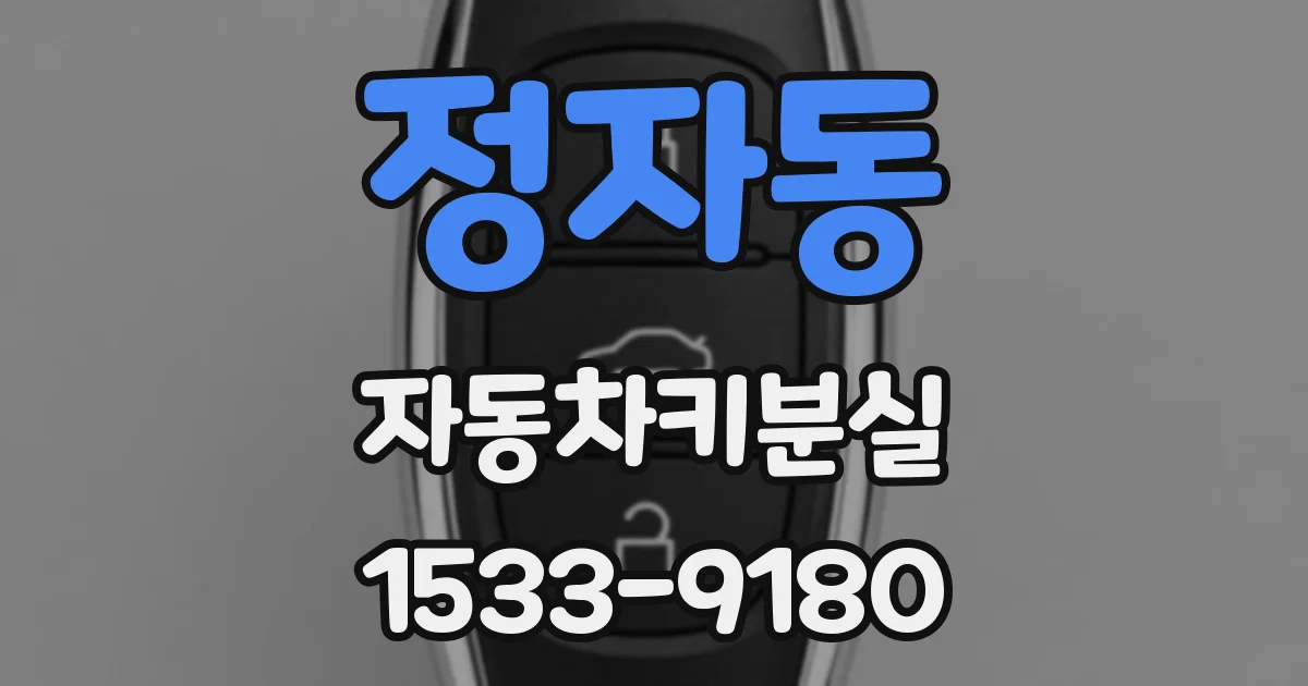 정자동 자동차키분실