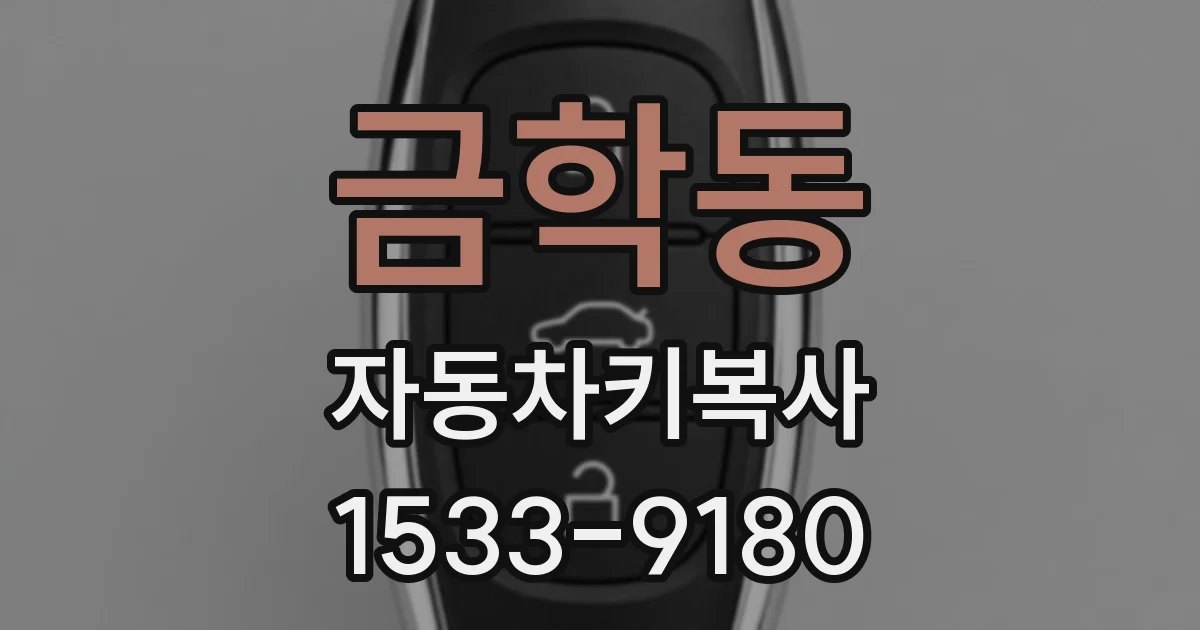 금학동 자동차키복사