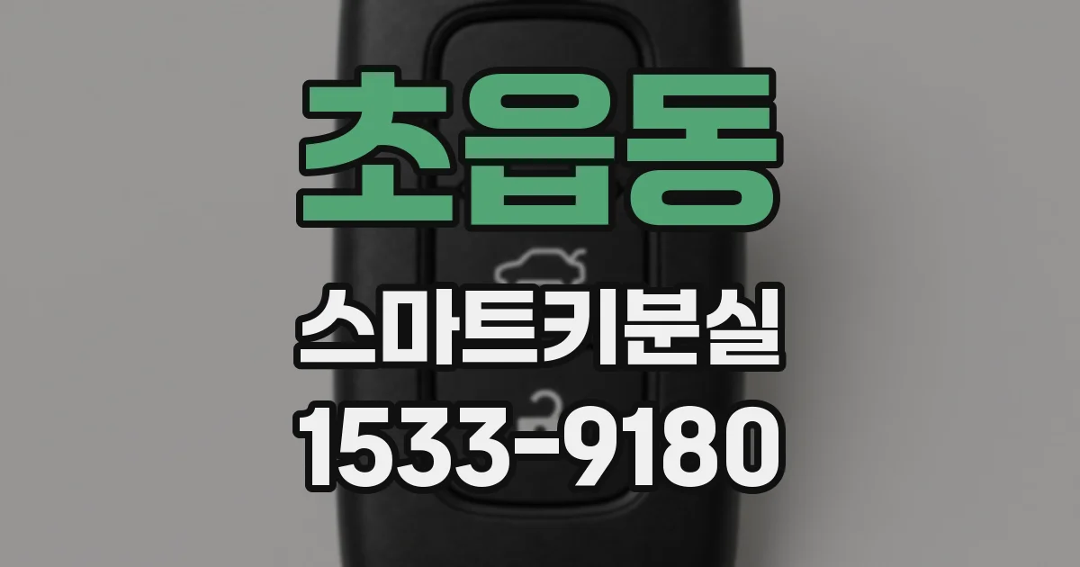 초읍동 스마트키분실