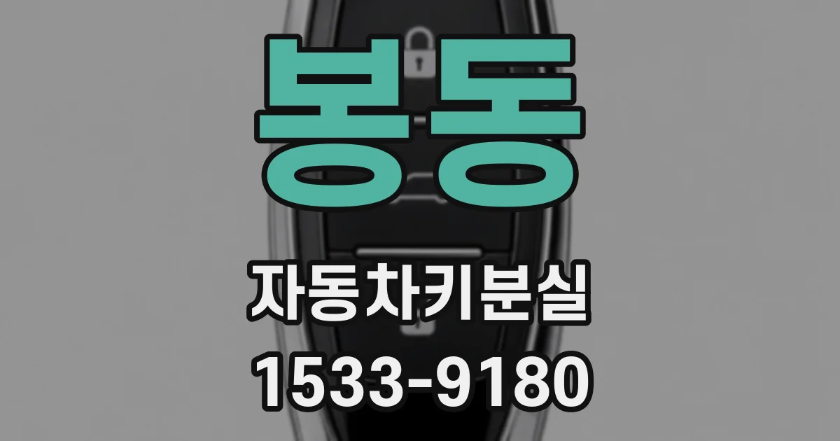 봉동 자동차키분실
