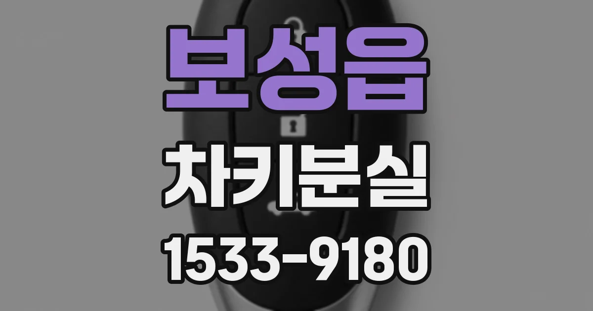 보성읍 차키분실