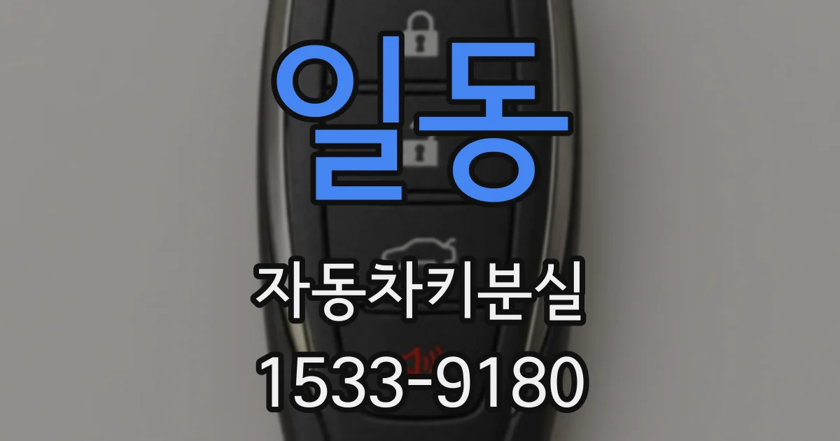 일동 자동차키분실