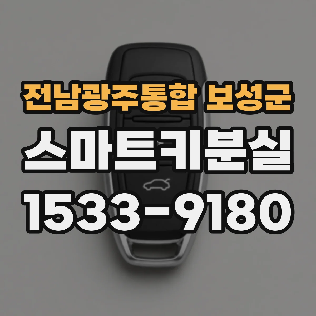 전남광주통합 보성군 스마트키분실