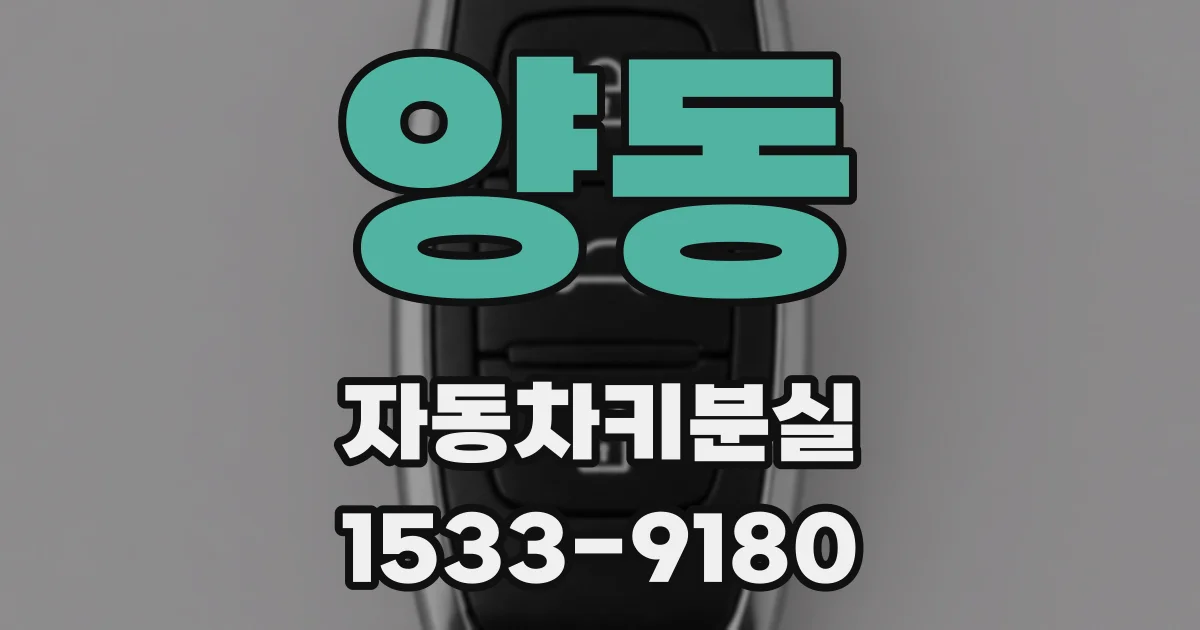 양동 자동차키분실