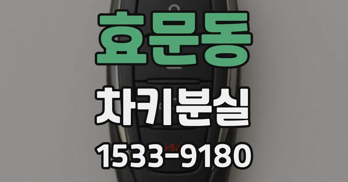 효문동 차키분실