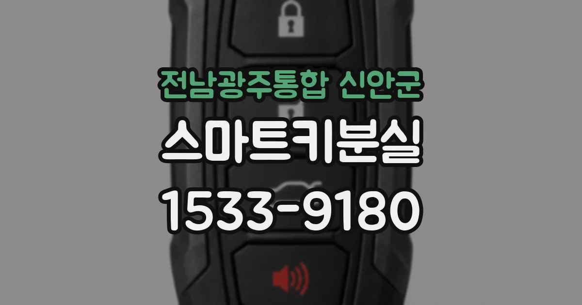 전남광주통합 신안군 스마트키분실