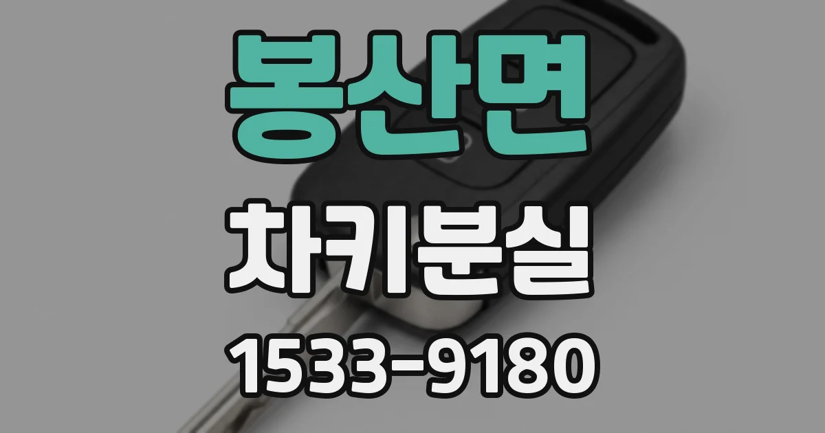 봉산면 차키분실