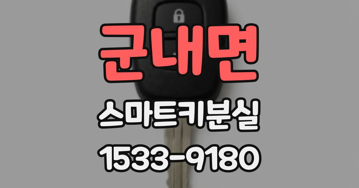 군내면 스마트키분실