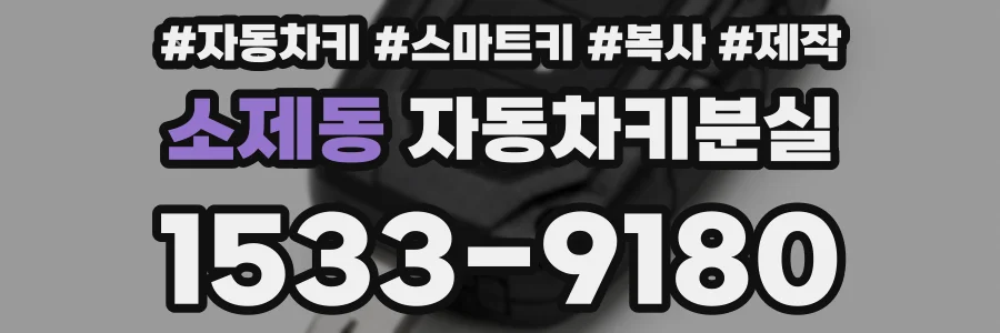 소제동 자동차키분실