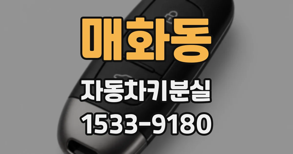 매화동 자동차키분실