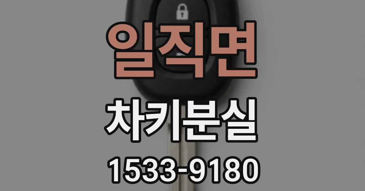 일직면 차키분실