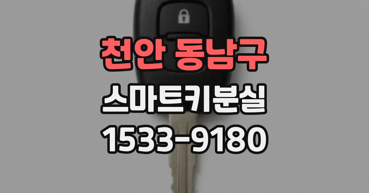 천안 동남구 스마트키분실