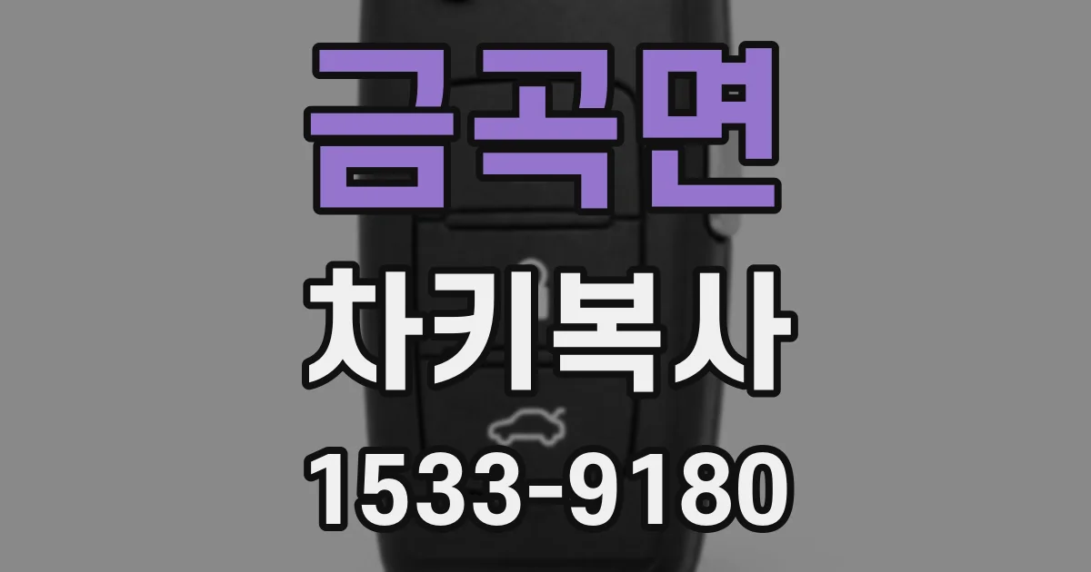 금곡면 차키복사