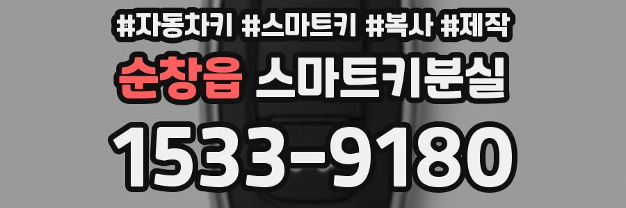 순창읍 스마트키분실