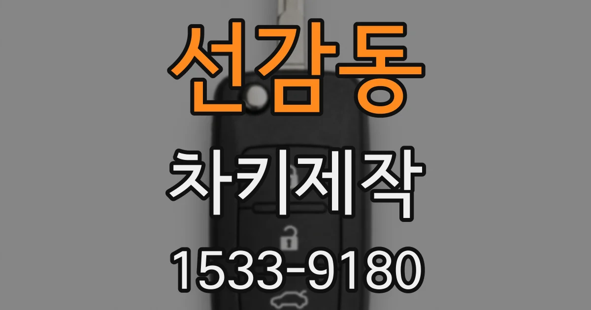선감동 차키제작