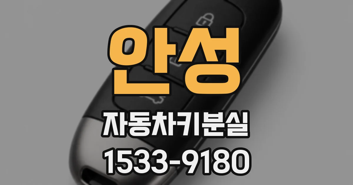 안성 자동차키분실