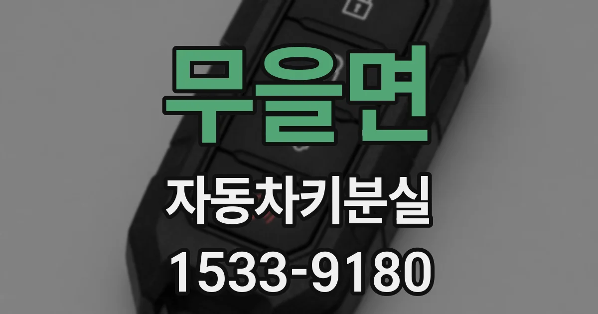 무을면 자동차키분실