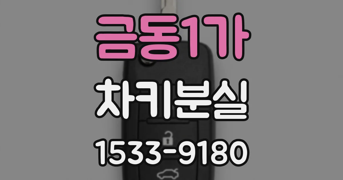 금동1가 차키분실