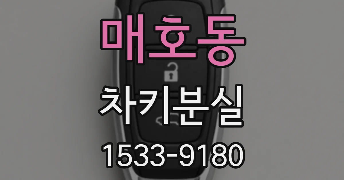 매호동 차키분실