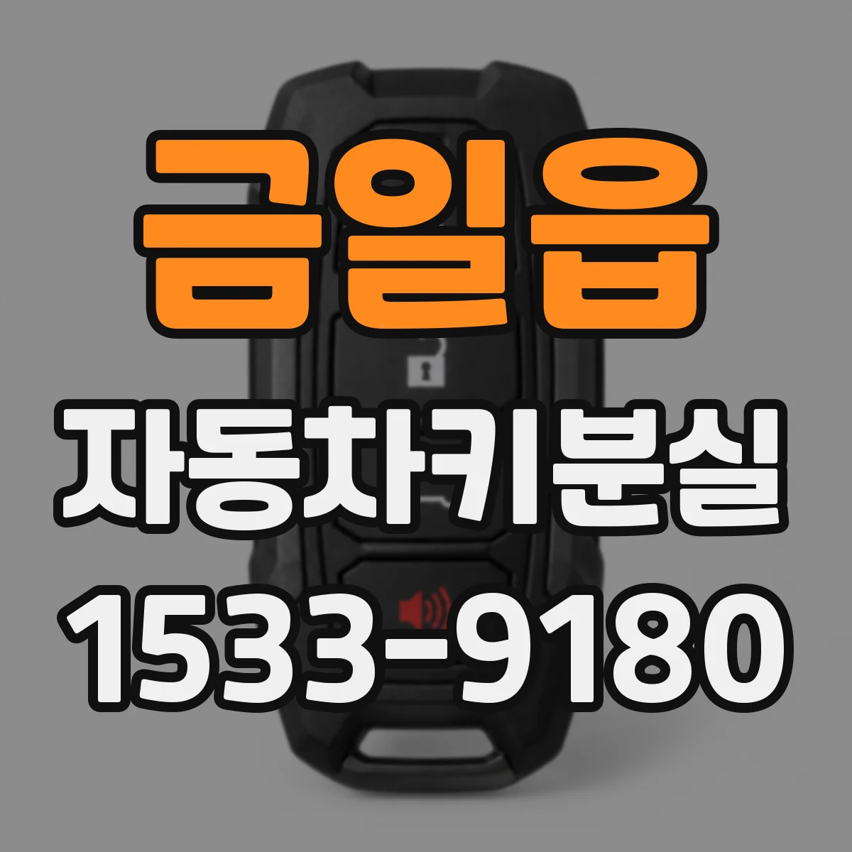 금일읍 자동차키분실