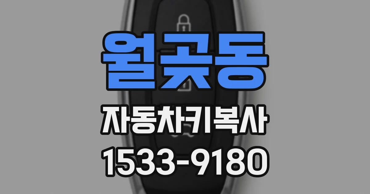 월곶동 자동차키복사