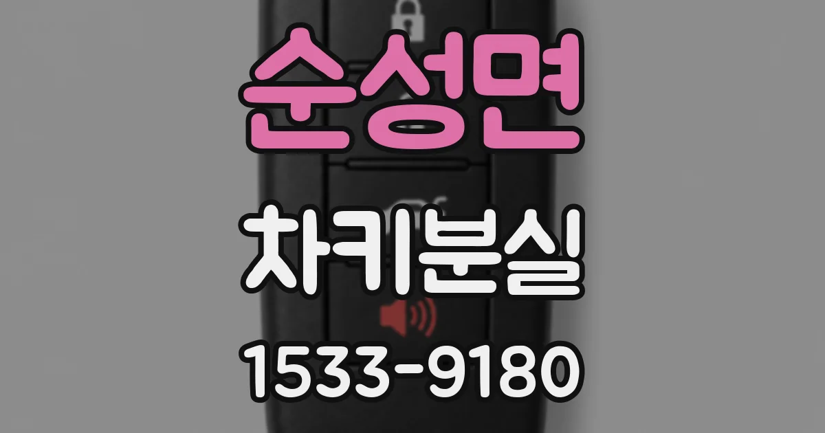 순성면 차키분실