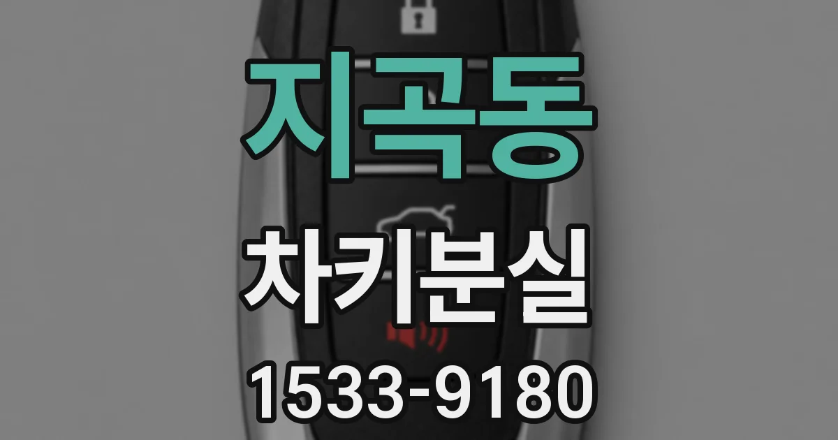 지곡동 차키분실