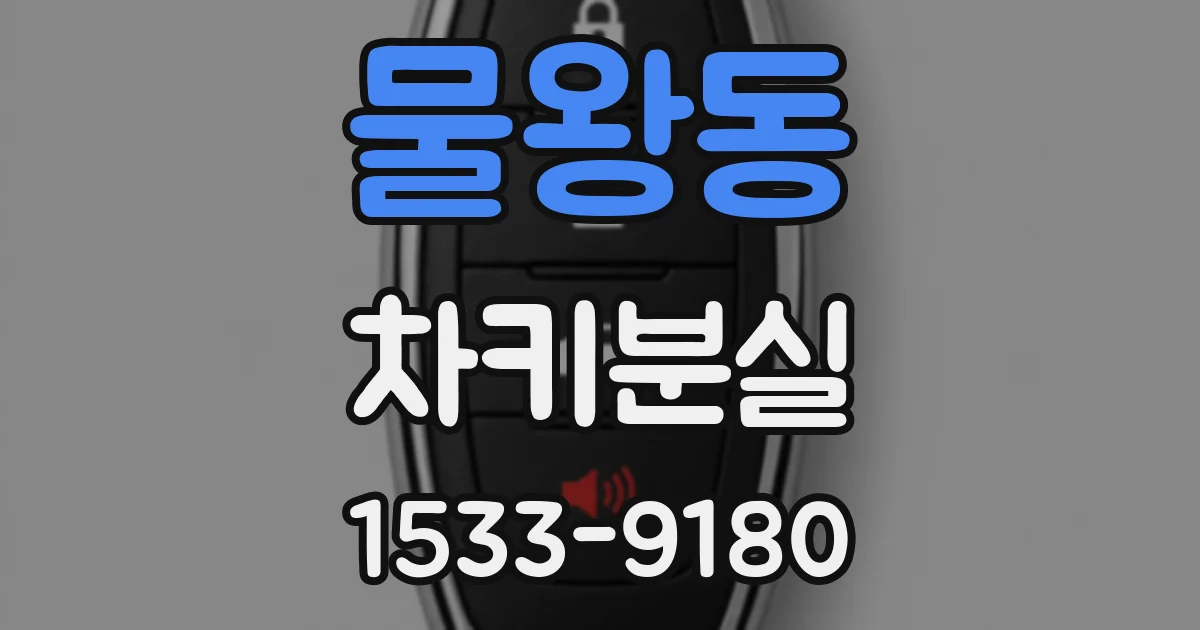 물왕동 차키분실