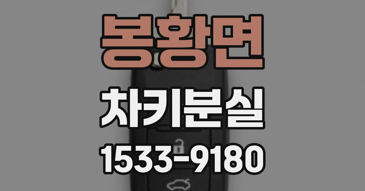 봉황면 차키분실