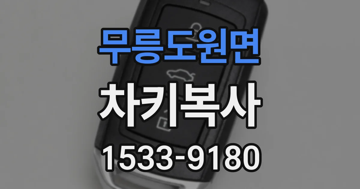 무릉도원면 차키복사