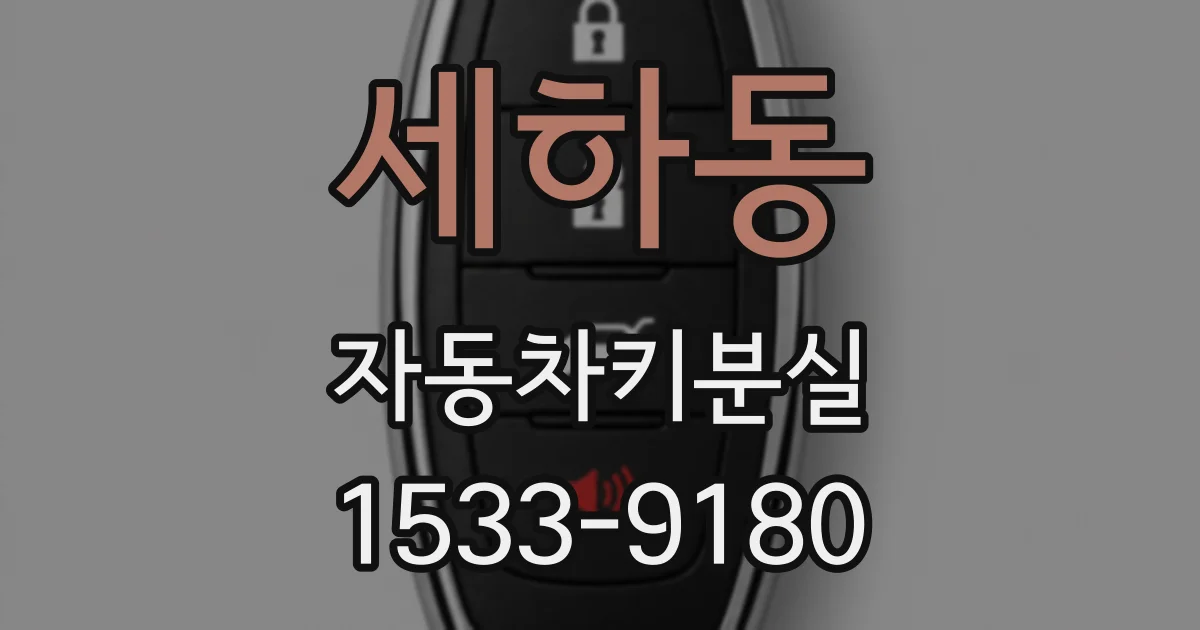 세하동 자동차키분실