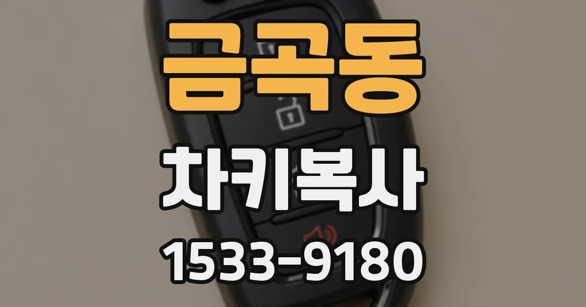 금곡동 차키복사