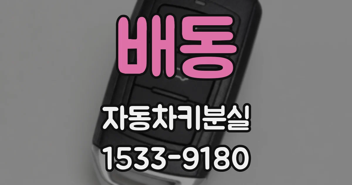 배동 자동차키분실
