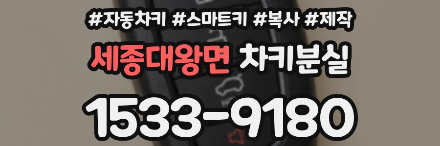 세종대왕면 차키분실
