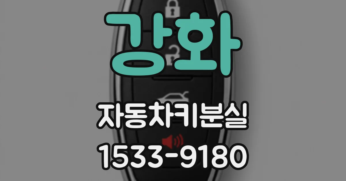 강화 자동차키분실