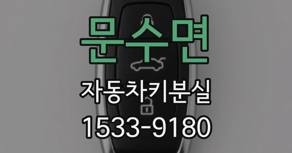 문수면 자동차키분실
