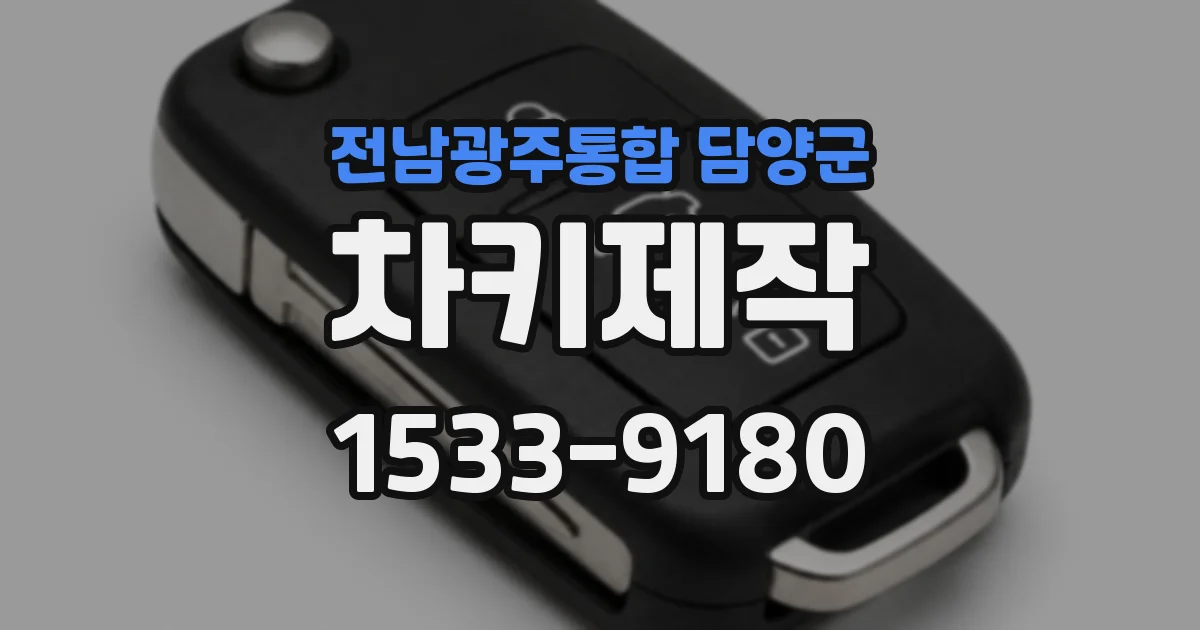 전남광주통합 담양군 차키제작