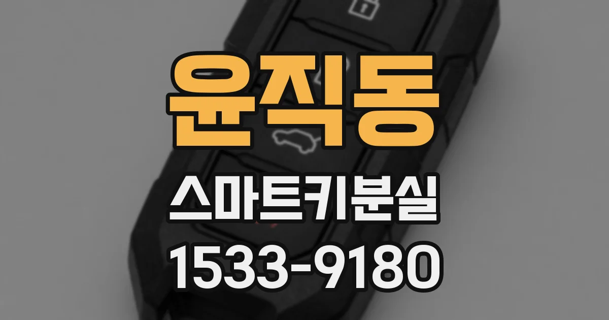 윤직동 스마트키분실