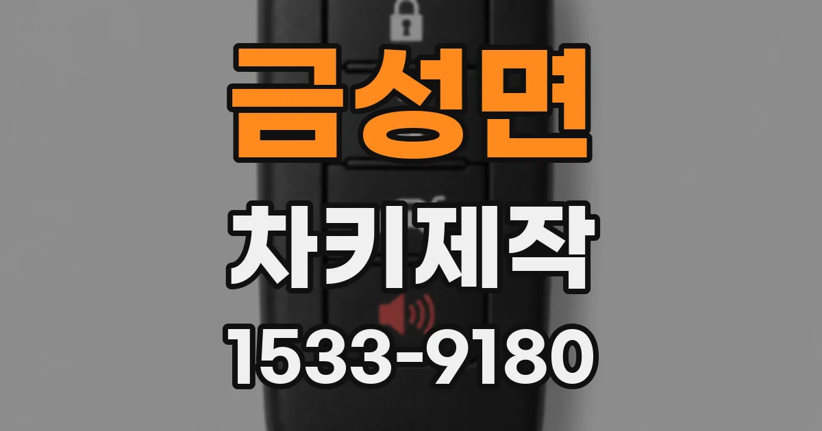 금성면 차키제작