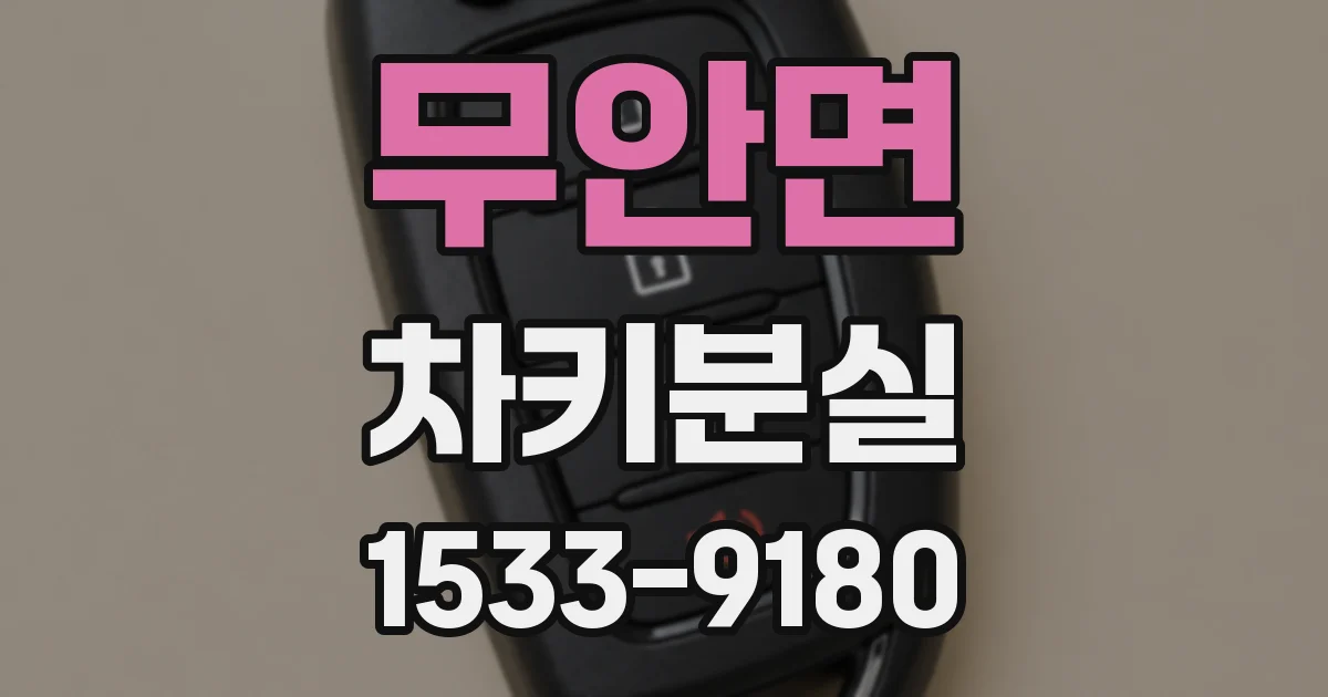 무안면 차키분실