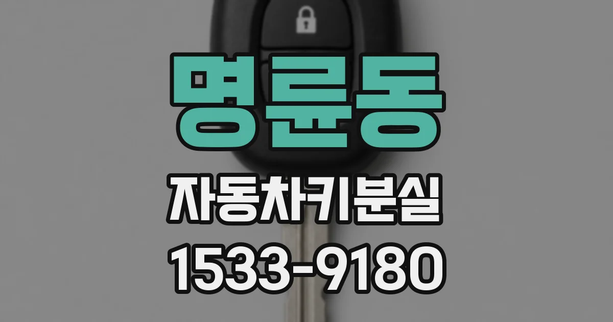 명륜동 자동차키분실