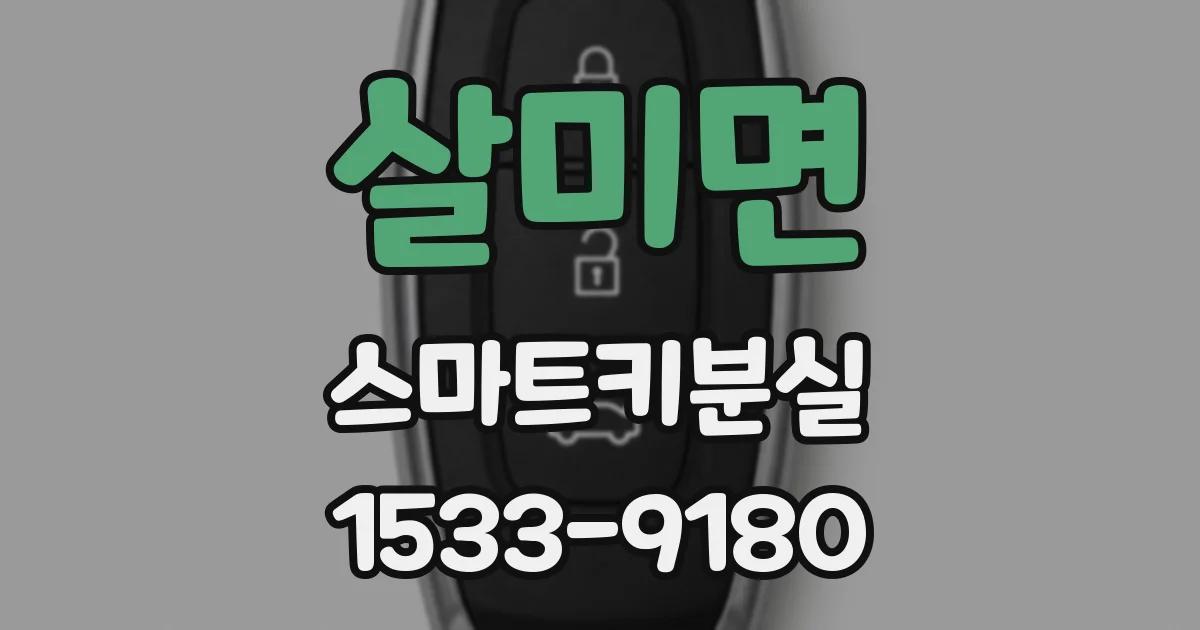 살미면 스마트키분실