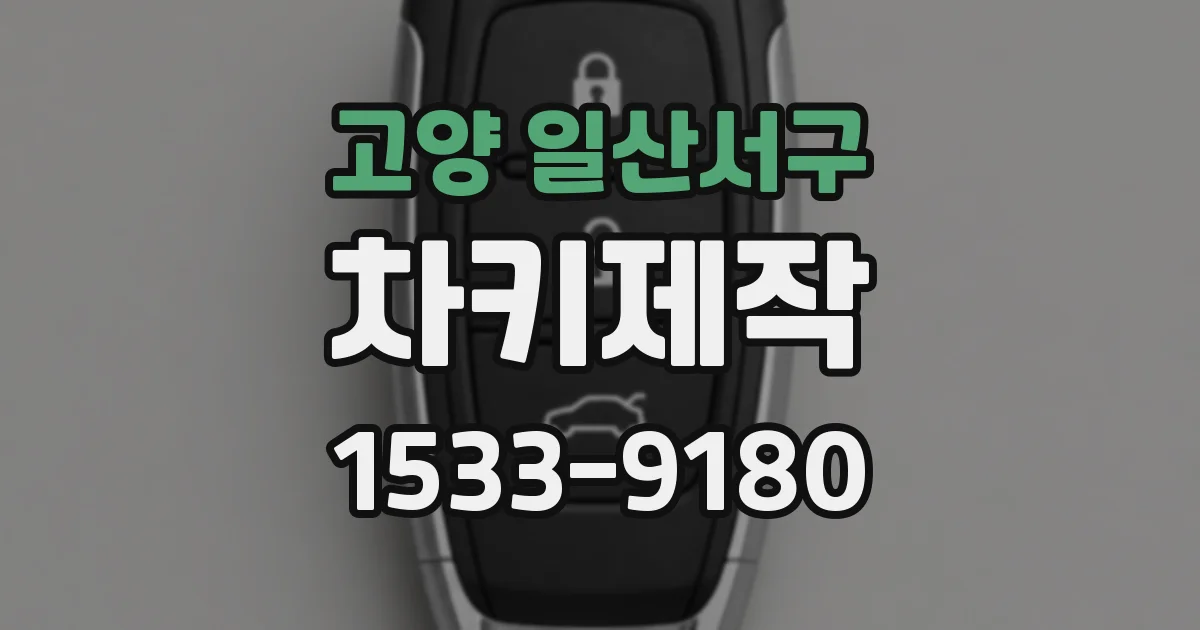 고양 일산서구 차키제작
