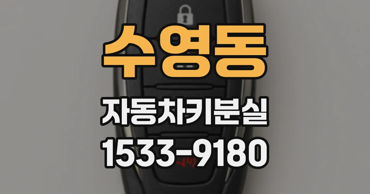 수영동 자동차키분실