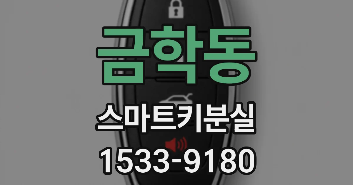 금학동 스마트키분실