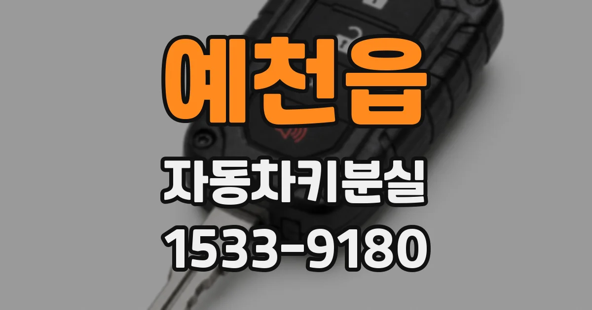 예천읍 자동차키분실