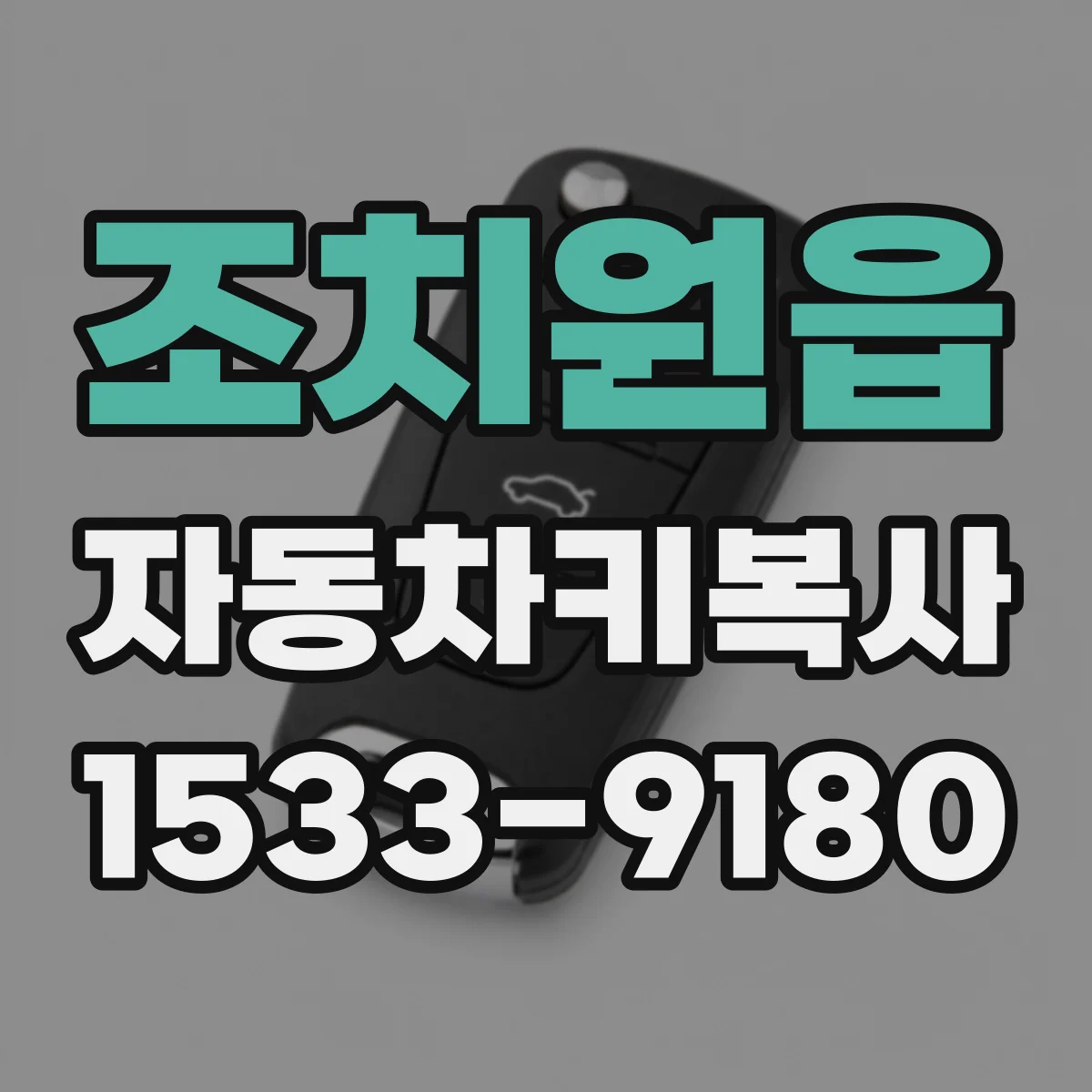 조치원읍 자동차키복사