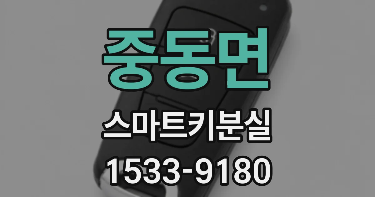 중동면 스마트키분실