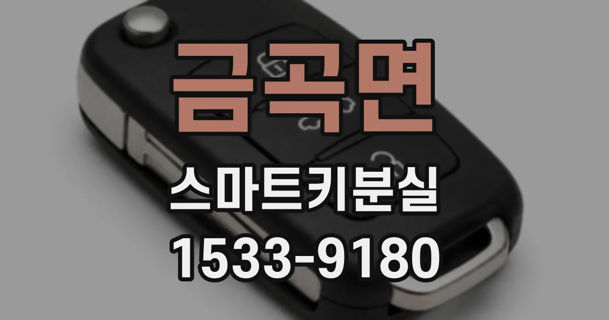 금곡면 스마트키분실